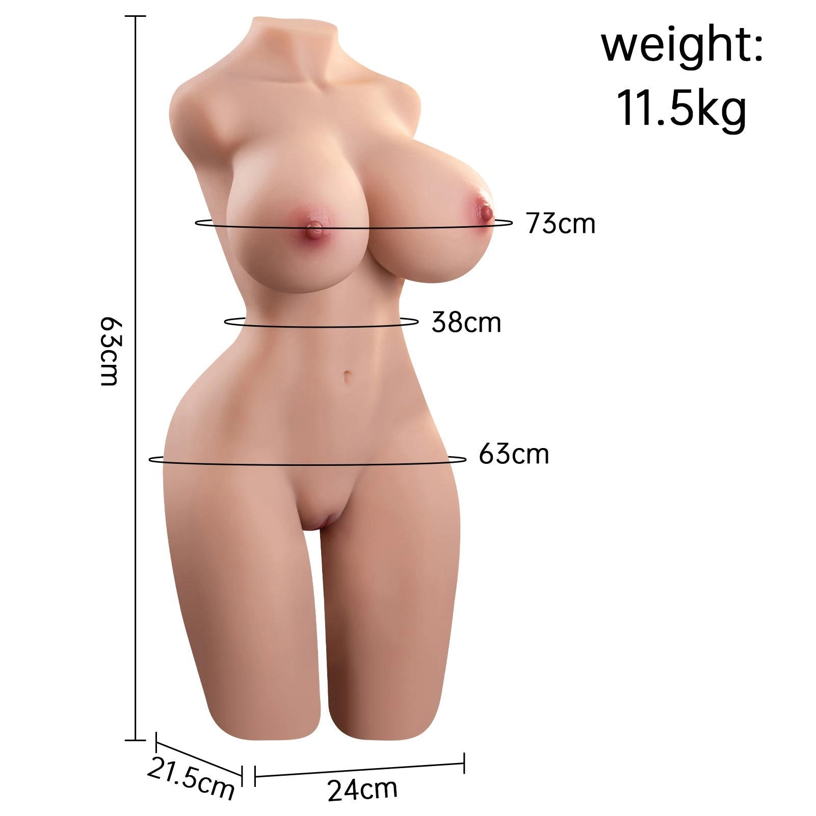 25.4LB Realistic Female Torso Doll with E-Cup & Curves