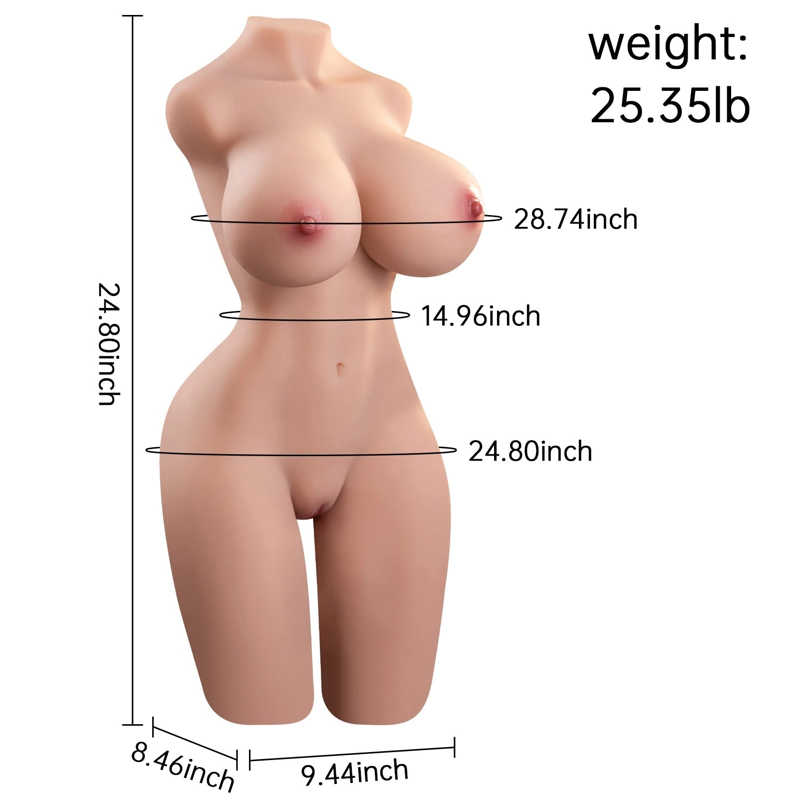 25.4LB Realistic Female Torso Doll with E-Cup & Curves