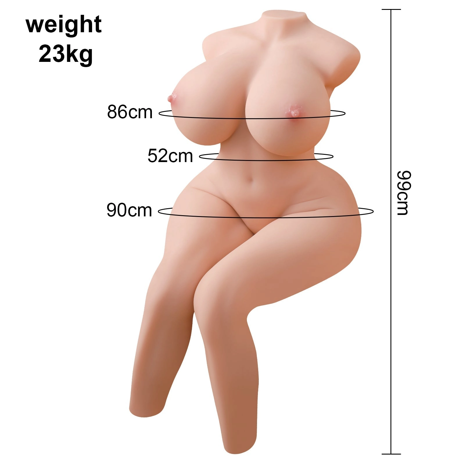50.7 lb Ultra-Realistic Female Torso