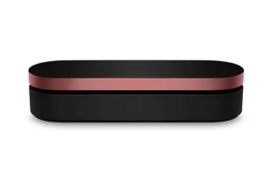Dyson Presentation Case