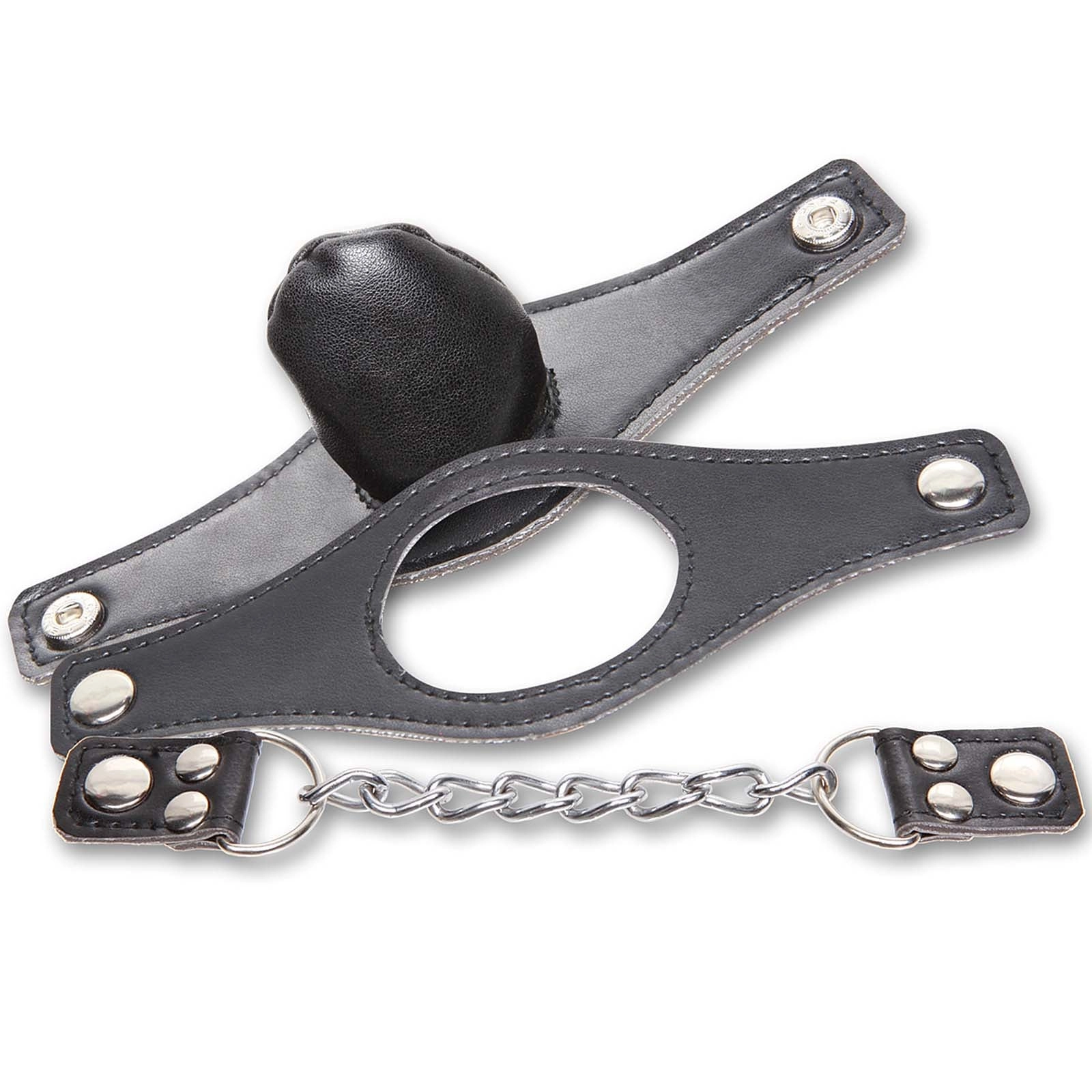 Fetish Fantasy Extreme Interchangeable gag