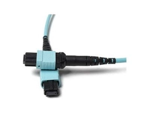 Fiber Cables Direct - Patch cable - MTP/MPO multi-mode (F) to MTP/MPO multi-mode (F) - 20 m - fiber optic - 50 / 125 micron - FCDUS362V10513