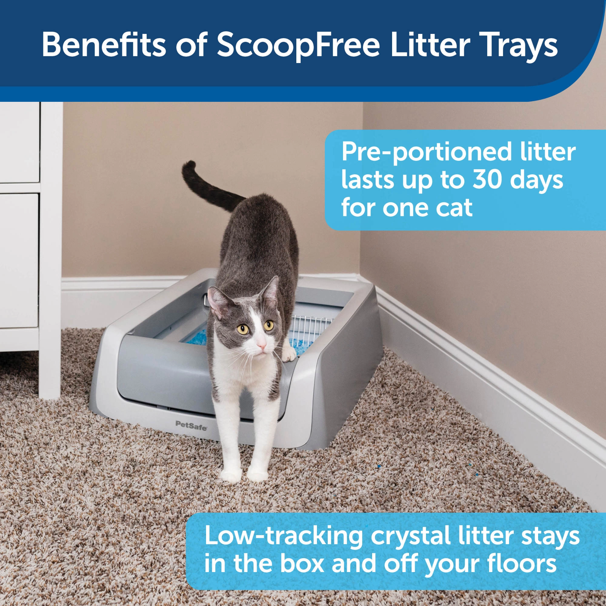 PetSafe ScoopFree Replacement Blue Crystal Litter Tray, 3-Pack – Easy Cleanup with Disposable Tray – Includes Leak Protection and Low Tracking Litter – Absorbs Odors on Contact