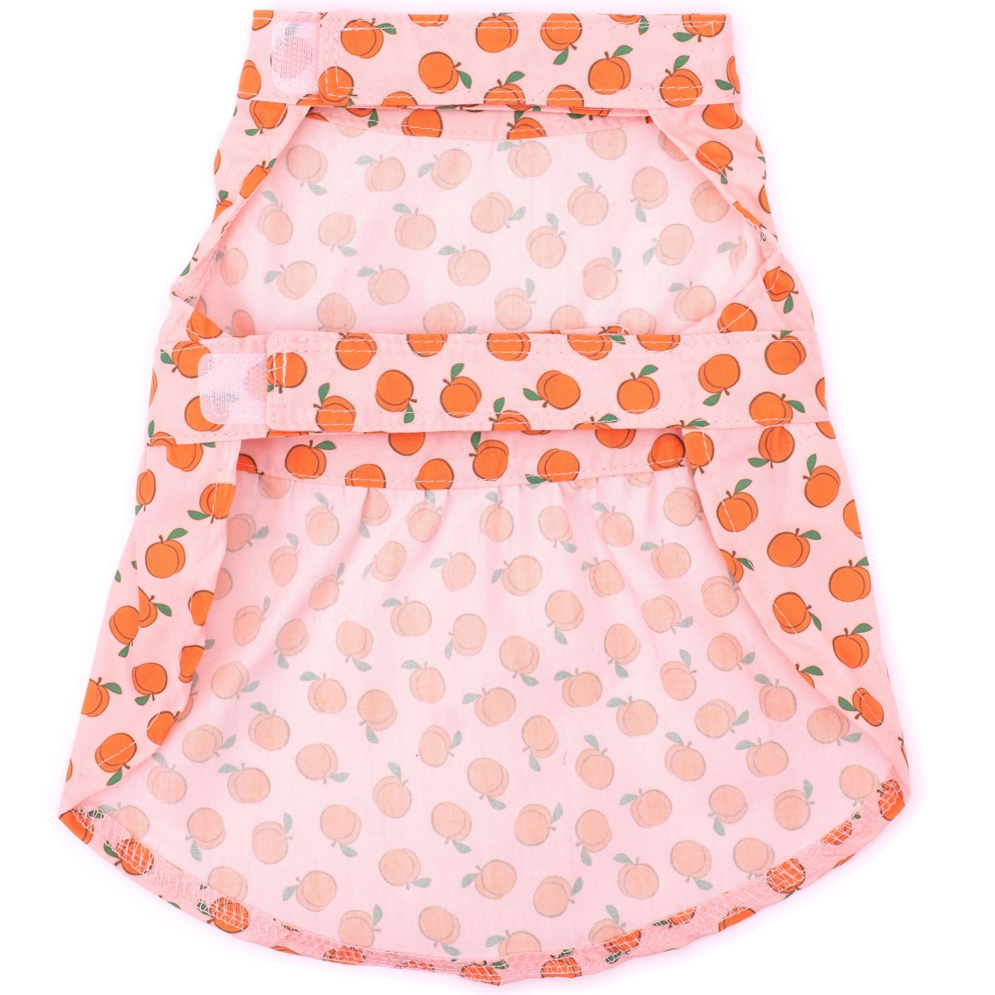 The Worthy Dog Peachy Keen Dress